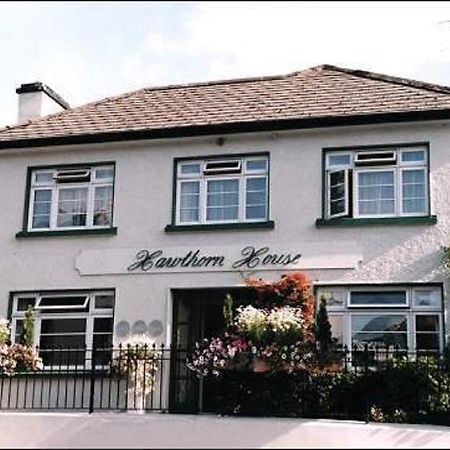 Hawthorn House Guesthouse Kenmare Exteriér fotografie