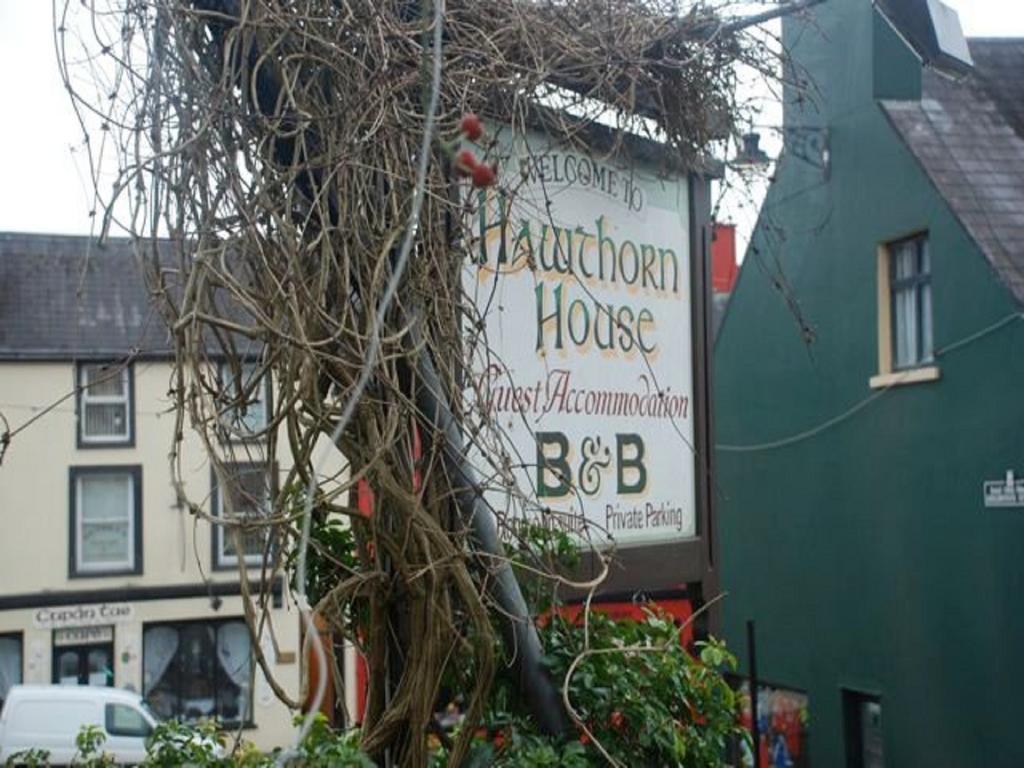 Hawthorn House Guesthouse Kenmare Exteriér fotografie